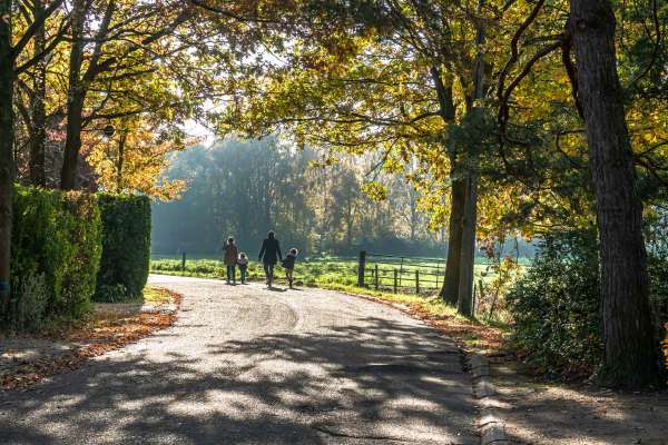 070 - Zefoda Zemst - Luc Van Roy - Herfstwandeling